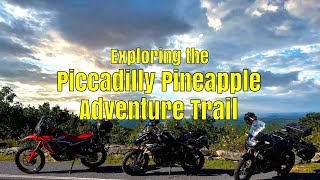 Exploring the PPAT Piccadilly Pineapple Adventure Trail