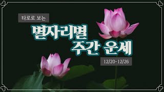 [타로/별자리/운세] 타로로 보는 주간 별자리 운세 (12/20~ 12/26)