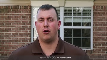 You Decide from Customer Testimonial - Pets Saved from fire by Alarm.com by Securityallstar.com