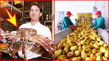 Amazing Satisfying Food Industry Machines That Are At Next Level Manufacturing & Processing ▶ 08