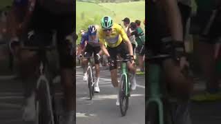 Disaster for Javier Romo 😩 The Spaniard wipes himself out on Lipowitz’s back wheel.