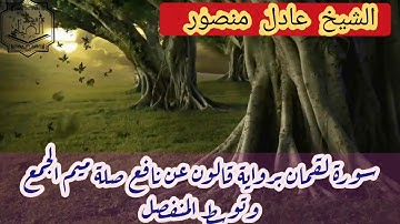 سورة لقمان برواية قالون عن نافع