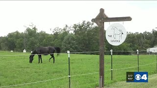 Missouri's most hospitable Airbnb is 50 miles from St. Louis