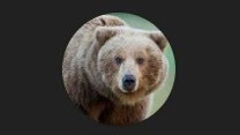 i played sas4 with the_primo_z