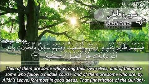 الشيخ ماهر المعيقلي سورة فاطر - جودة عالية | Maher Almuaiqly Surat Faatir - High Quality