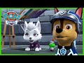 Mission PAW Spy and Ultimate Rescue Episodes! | PAW Patrol | Cartoons for Kids Compilation