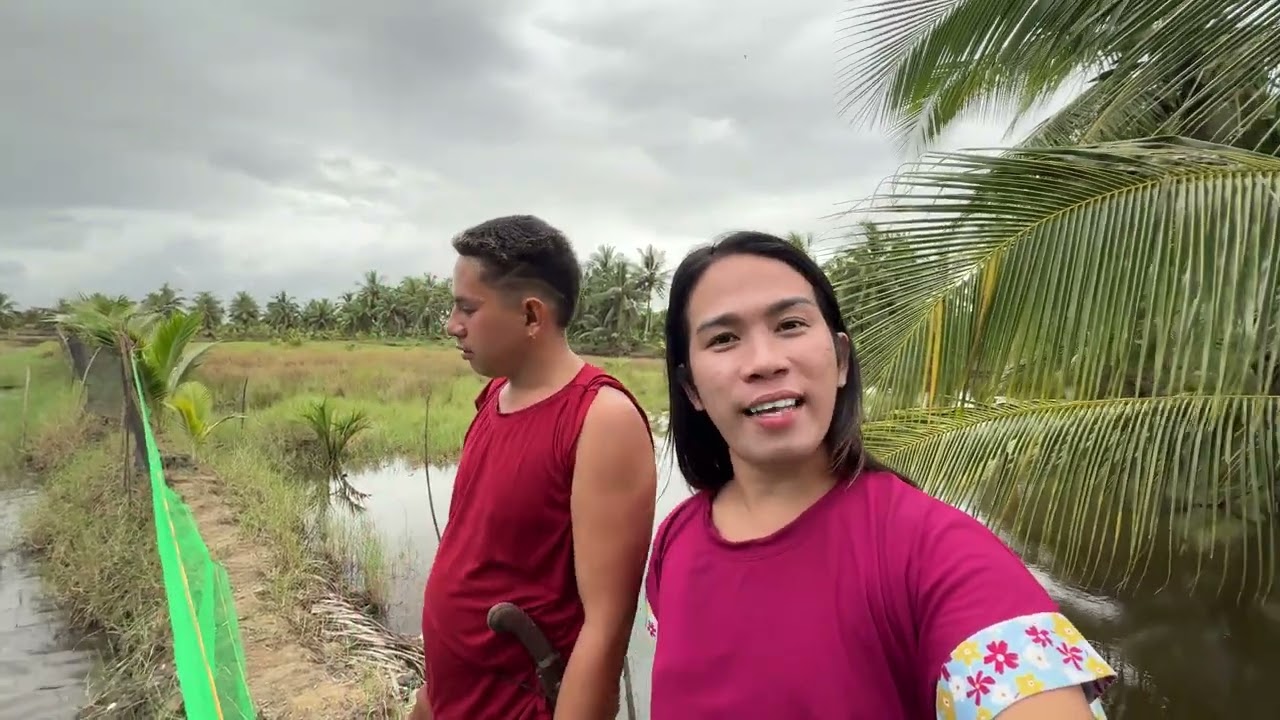 UPDATE SA AMING MGA TILAPIA