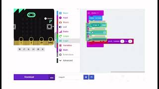 Magic 8 Ball Mircobit Stem Project screenshot 3