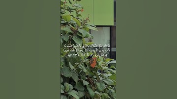 سورة ابراهيم - ايه 32