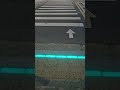 When the Crosswalk Light Turns Blue