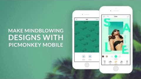 Create Graphic Designs on the PicMonkey Mobile App