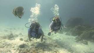 Kuredu Island Resort. Scuba on House Reef and Wreck.
