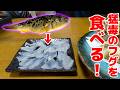 トラフグより美味しいフグを初めて食べてみたら・・・