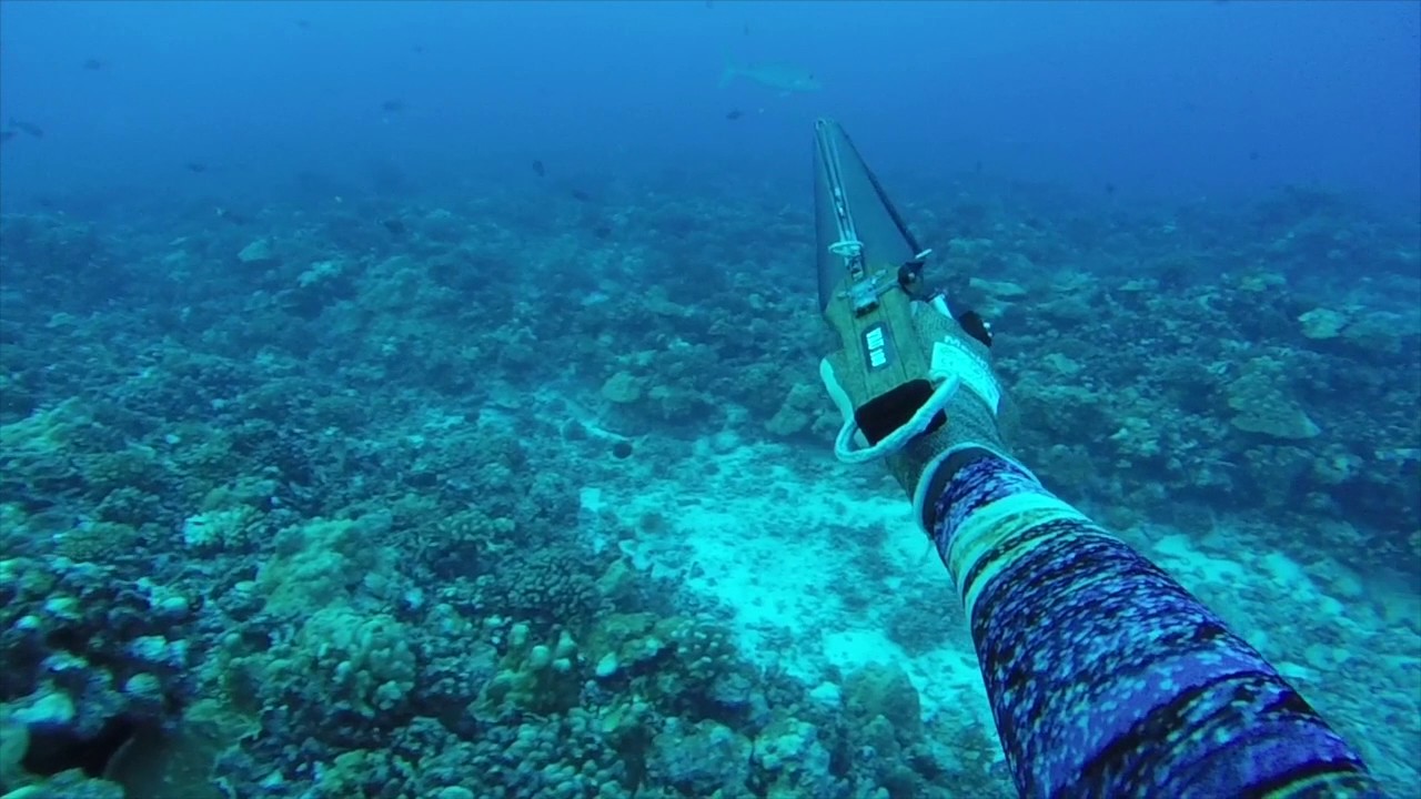 JOINTS SPEARFISHING TAHITI - KO SHOTS WITH VAU 100 - INVERT ROLLER SPEARGUN - FRENCH POLYNESIA