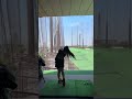 ライブ ハイライト