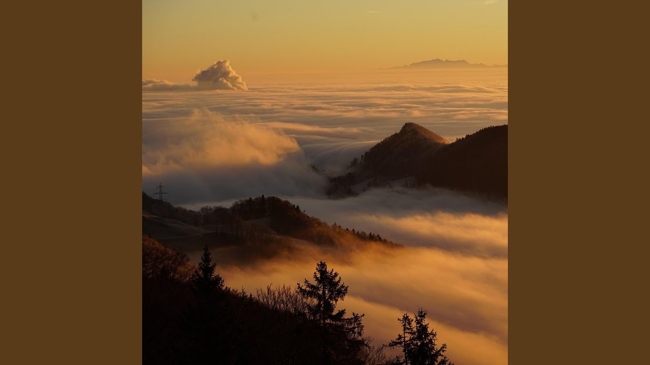 Watch Animal on YouTube Watch Animal on YouTube