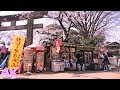 SAKURA-The cherry blossom trees in Ueno Park |Tokyo, Japan MAR 2019