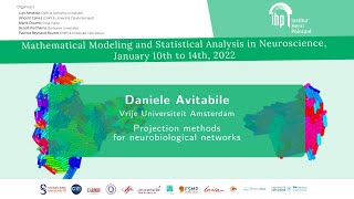 Projection methods for neurobiological networks