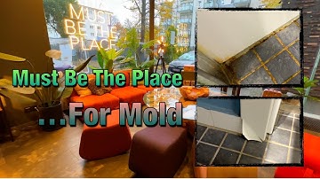 This Marriott Hotel Had Mold! | My "Must Be The Place" Nightmare, The Deutz Review