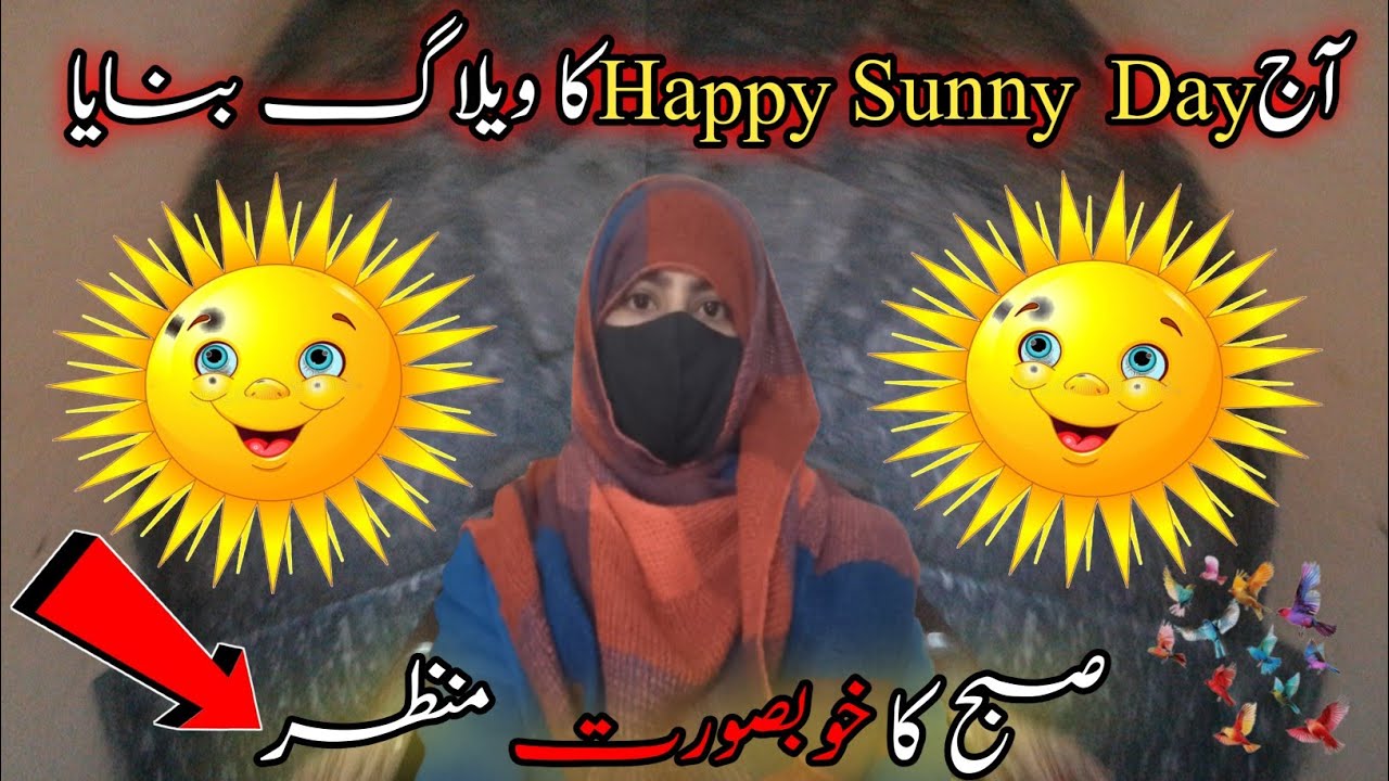 Today I Make Happy Day Sunny Day Vlog✨|Morning Beautiful Scenery ✅|Today Vlog 🤳🏻