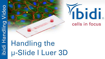 Handling the µ-Slide I Luer 3D