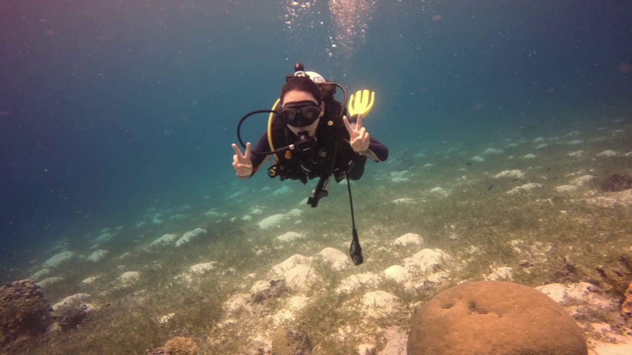 Olivia's second dive in Balicasag - YouTube