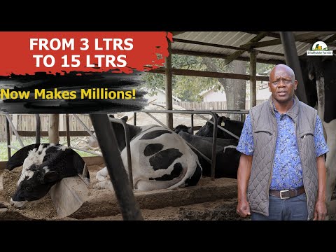How Willy Kirwa Defied All Odds to Become a Dairy Tycoon