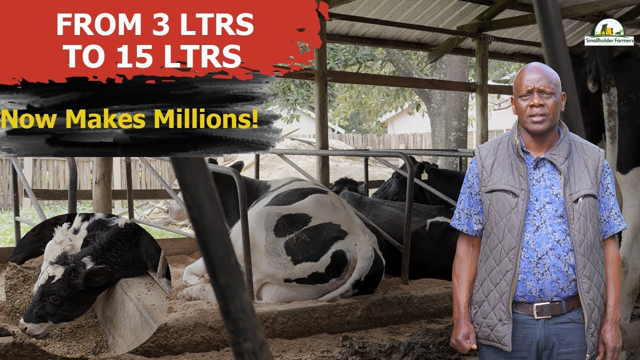 How Willy Kirwa Defied All Odds to Become a Dairy Tycoon