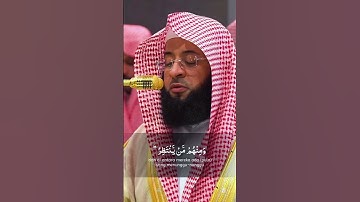 سورة الأحزاب للشيخ بدر التركي #المصحف #اكسبلور