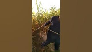 https://youtu.be/0BIaDVnYp2A