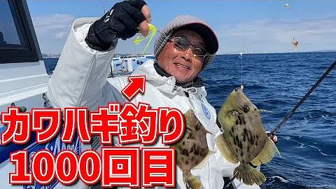池釣りホッパ