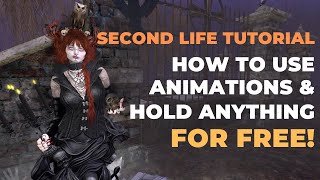 How to use animations & hold anything