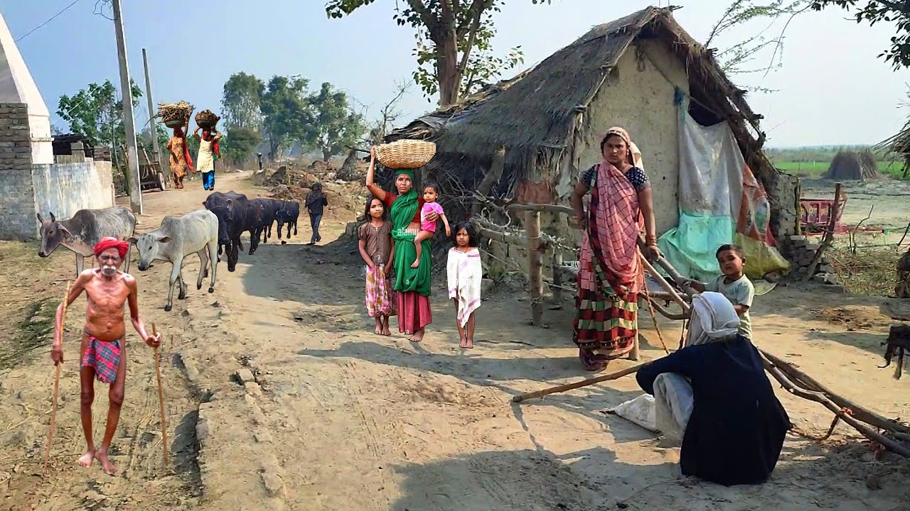 There Are Some Types Of Villages In India || Villages Life Of In Uttar Pradesh India
