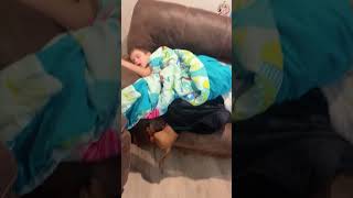 Funny Dogs Try Not To Laugh Challenge You Will Fail Part 101