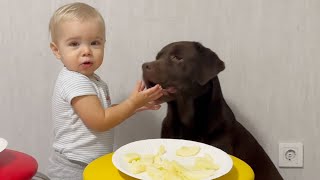 Cutest Ever! Dog Eats Only from Baby's Hand