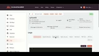 How to check Nginx Error Logs through Cloudpanzer?