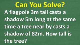Can You Solve This Find the Height of the Tree Using Shadows!