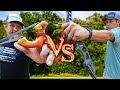 Slingshot vs bow  arrow with james jean trickshots  trick shot tuesday ep 21 slingshot vs6