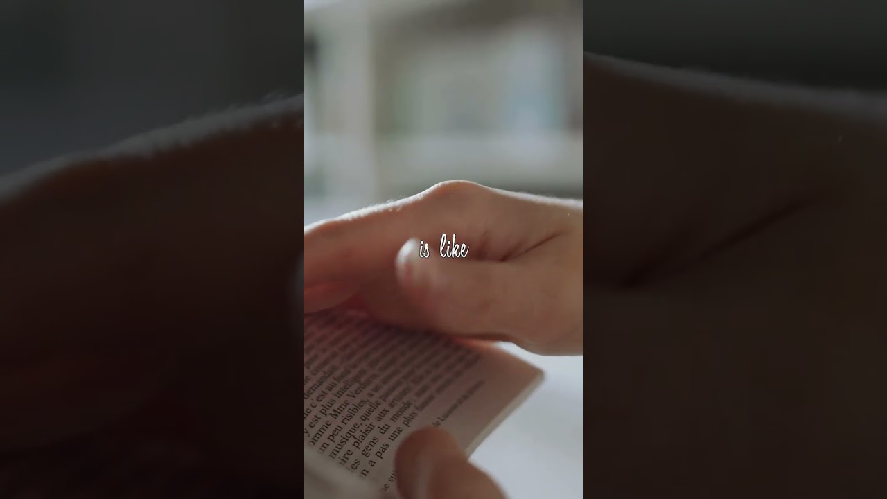 Martinet: Definition and Explanation in Simple Terms