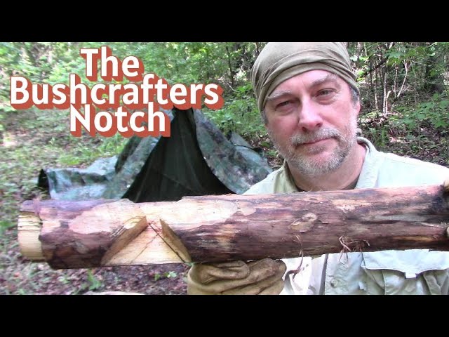 The Butterfly Notch, A Bushcrafter Survivalists Wood Notch