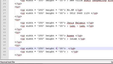 Membuat CV di HTML dengan ekstensi PHP