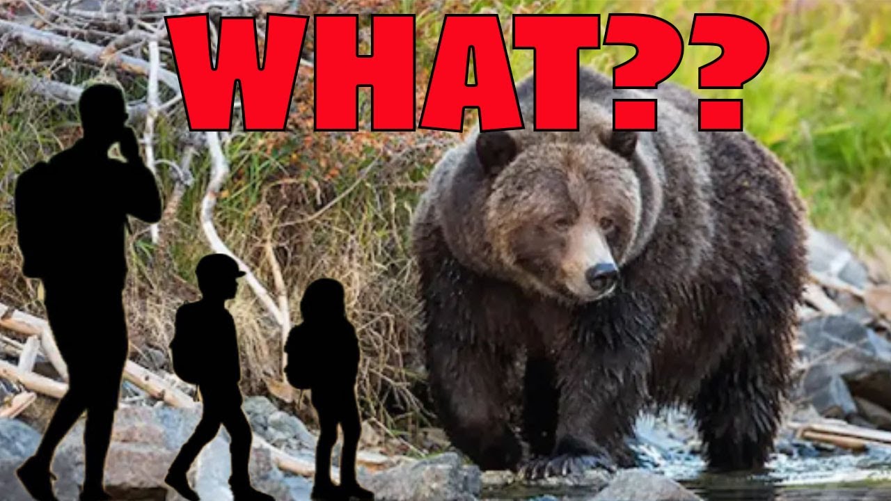 В Британской Колумбии дети и учителя подверглись нападению медведя Гризли, и ЭТО говорят канадски...
