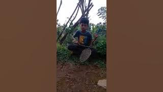 rabab ginyang pasisia