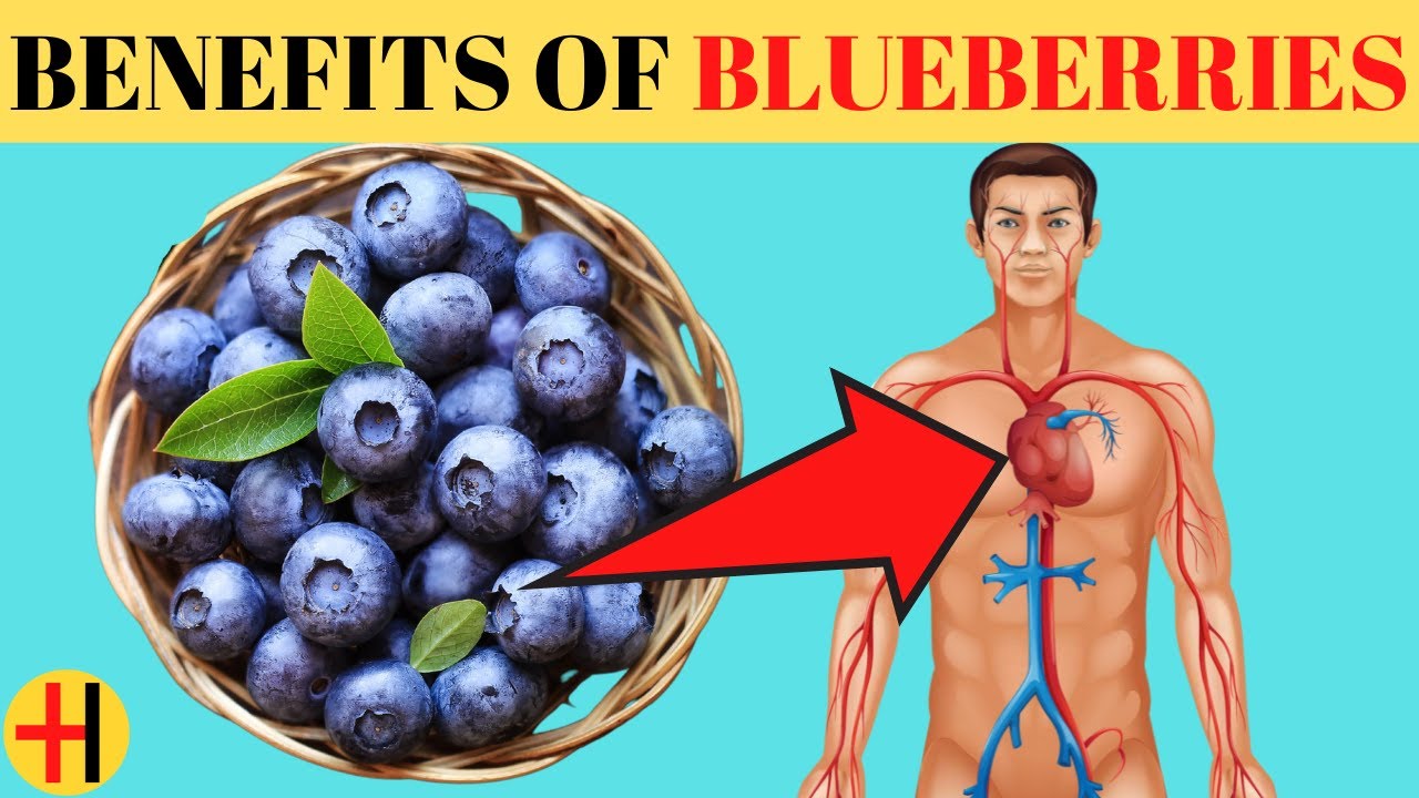 HEALTH BENEFITS OF BLUEBERRIES. Top 10 Amazing Health Benefits Of