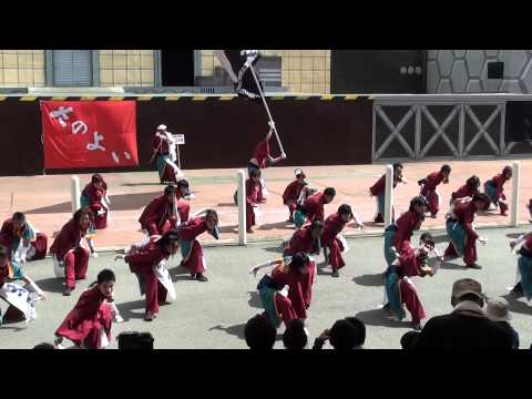 我白天晴　in　さのよいファイヤーカーニバル２０１１
