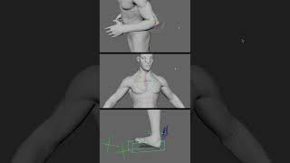 Learn 3D muscular rigging and animation at #puppeteerlounge