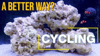 Today’s Cycling Techniques: 10 Questions That Guarantee a Better Cycle and Healthier Aquarium.
