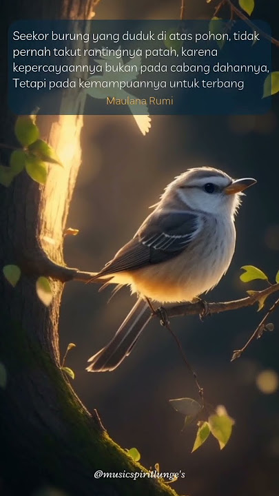 kata bijak #katabijak #sufi