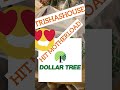 #dollartree MOTHERLOAD!!