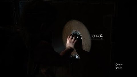 The Last of Us Part II On Foot Safe Combination